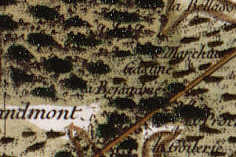 Cassini