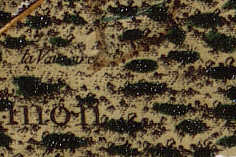 Cassini