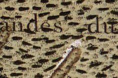 Cassini