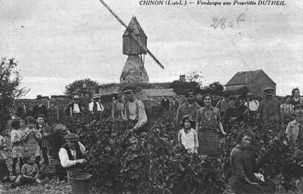 Précédente