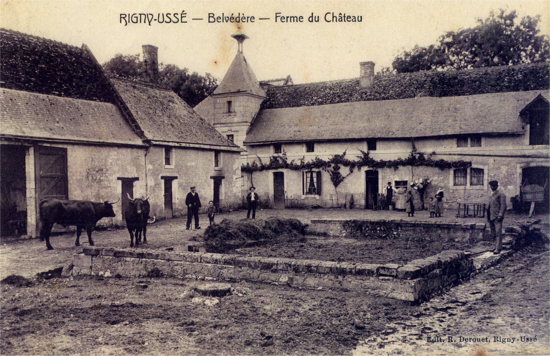 Précédente